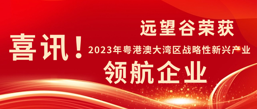 新年迎喜讯 | 利来国际荣获2023年粤港澳大湾区战略性新兴产业“领航企业”！